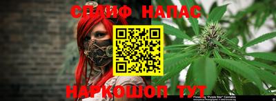 гидра Рязань