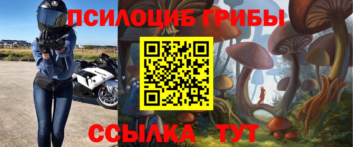 Серов  Псилоцибиновые грибы Magic Shrooms  Вход с VPN 